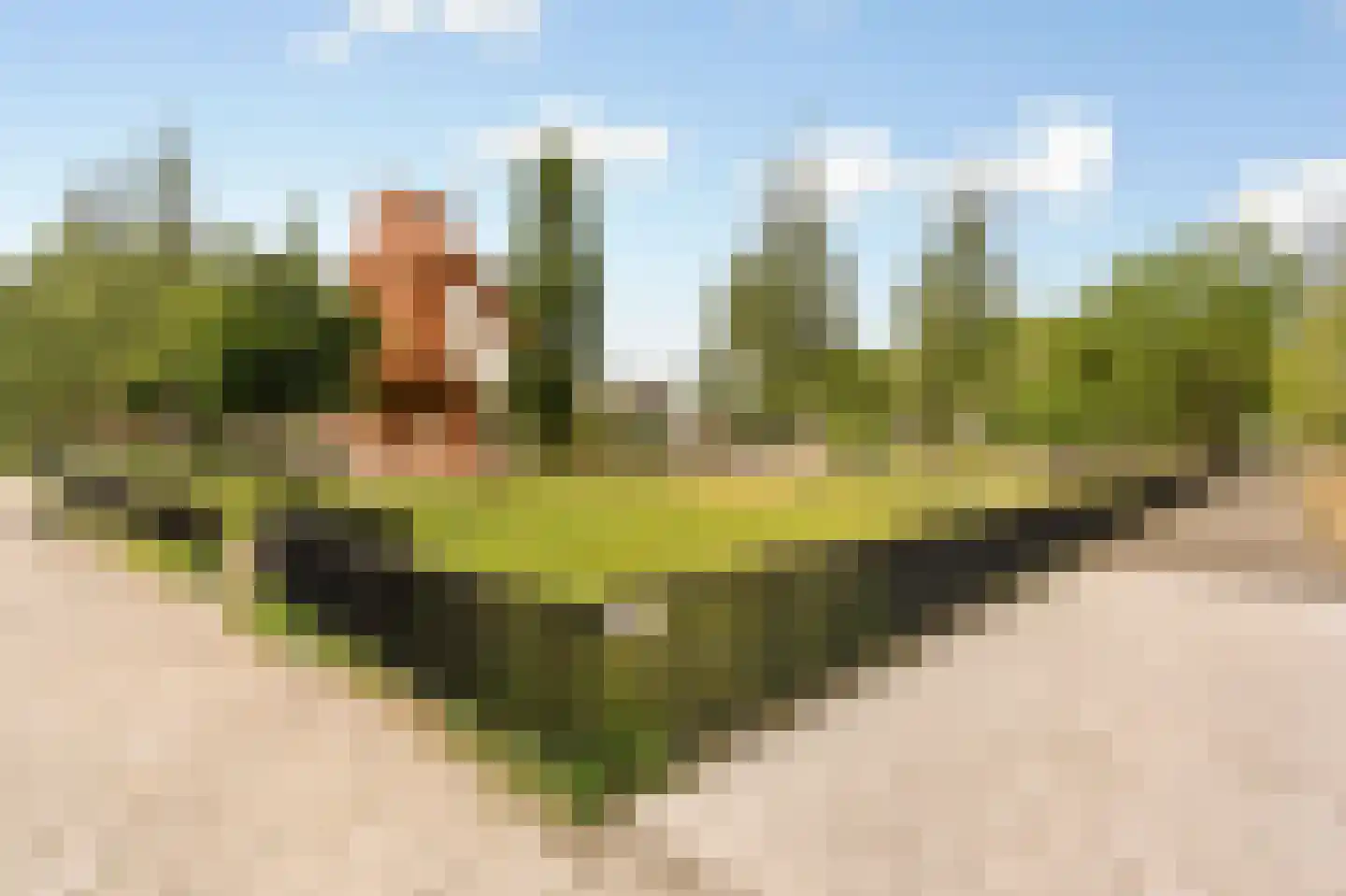 Ottho Heldringstraat 31 B Amsterdam thumbnail 38