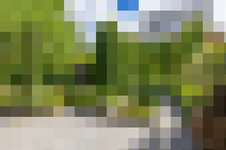 Otto Cluivinglaan 26 Eelderwolde thumbnail 22