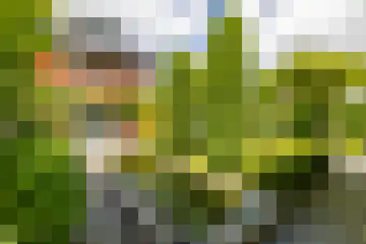 Otto Cluivinglaan 26 Eelderwolde thumbnail 23