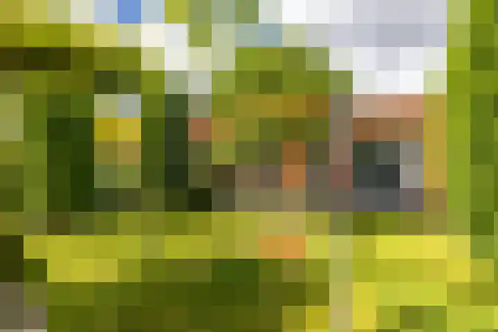 Otto Cluivinglaan 26 Eelderwolde thumbnail 26