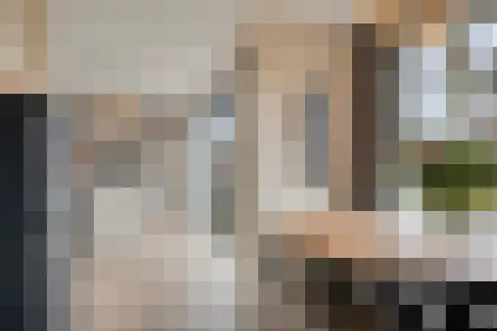 Otto Cluivinglaan 27 Eelderwolde thumbnail 17