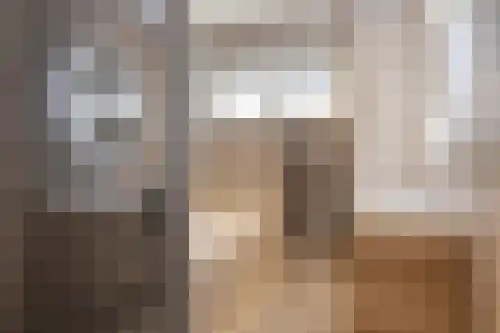 Otto Cluivinglaan 27 Eelderwolde thumbnail 33