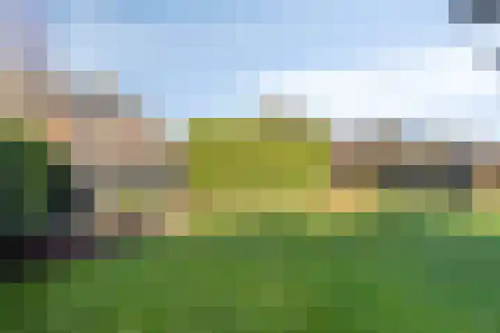 Otto Cluivinglaan 27 Eelderwolde thumbnail 44