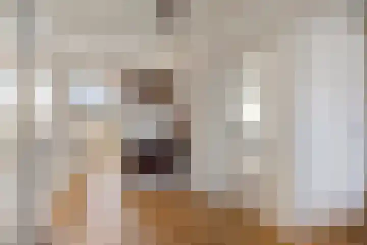 Otto Copesstraat 99 's-Hertogenbosch thumbnail 10