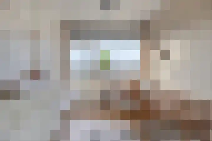 Otto Copesstraat 99 's-Hertogenbosch thumbnail 21