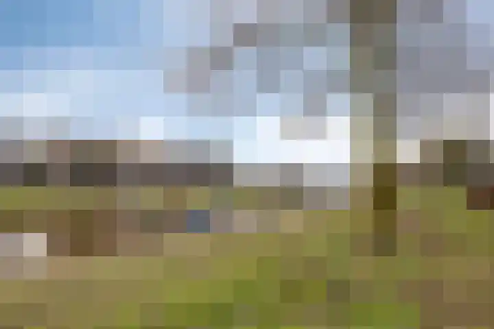 Otto Copesstraat 99 's-Hertogenbosch thumbnail 33