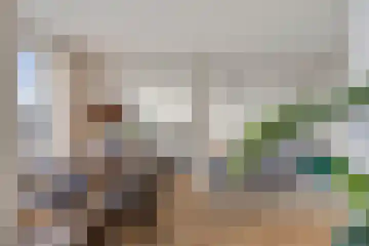 Otto Copesstraat 99 's-Hertogenbosch thumbnail 5