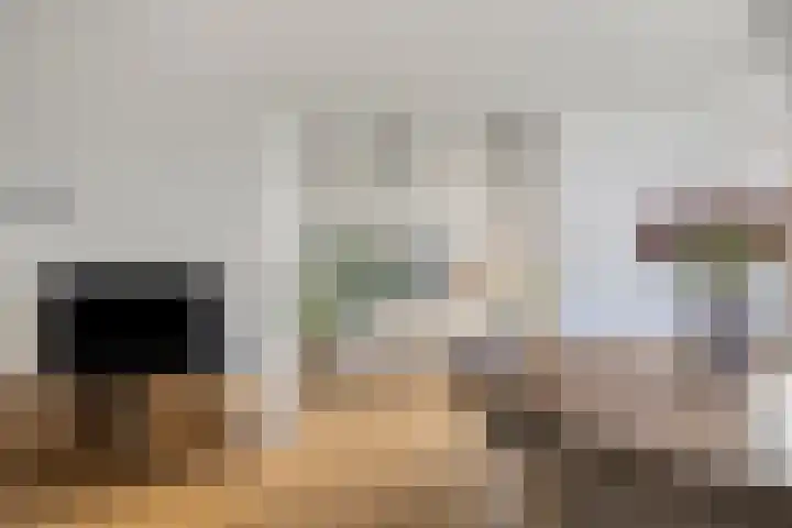 Otto Copesstraat 99 's-Hertogenbosch thumbnail 7