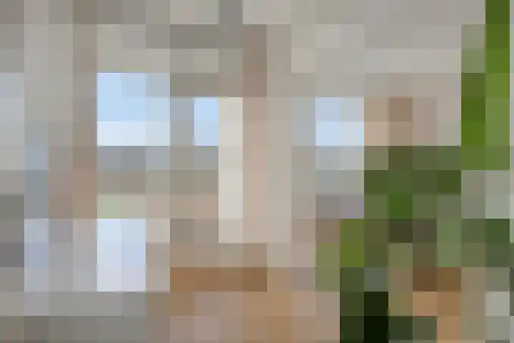 Otto Copesstraat 99 's-Hertogenbosch thumbnail 8