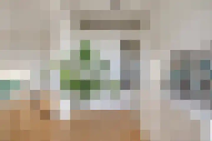 Otto Copesstraat 99 's-Hertogenbosch thumbnail 9