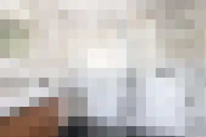 Otto de Visscherestraat 1 a Deurne thumbnail 28