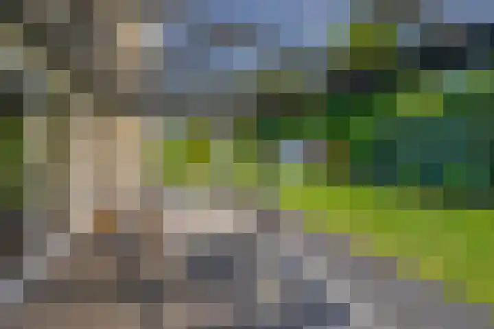 Otto de Visscherestraat 1 a Deurne thumbnail 33