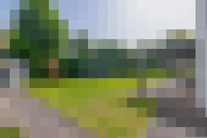 Otto de Visscherestraat 1 a Deurne thumbnail 35