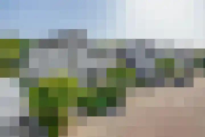 Otto de Visscherestraat 1 a Deurne thumbnail 37