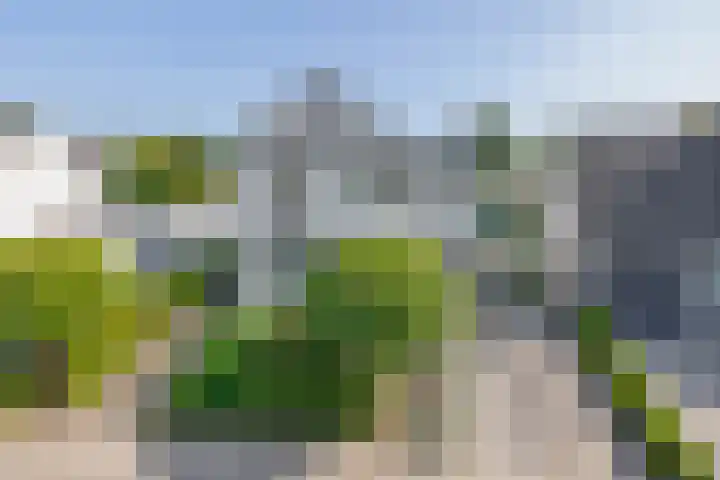 Otto de Visscherestraat 1 a Deurne thumbnail 40