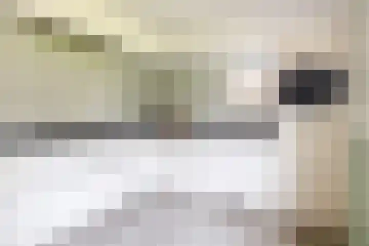Otto de Visscherestraat 1 a Deurne thumbnail 9