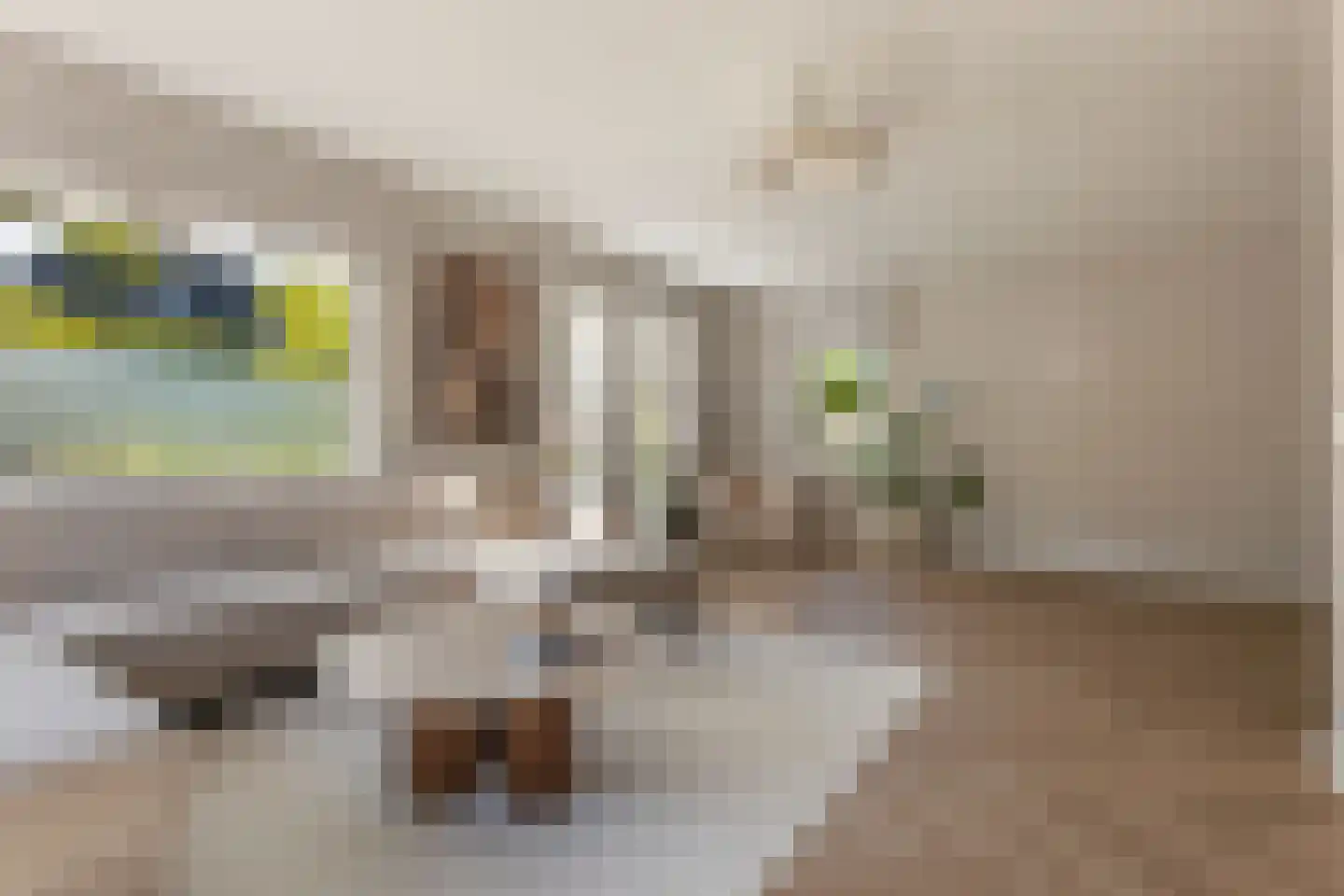 Otto Eerelmanhof 6 Veendam thumbnail 10