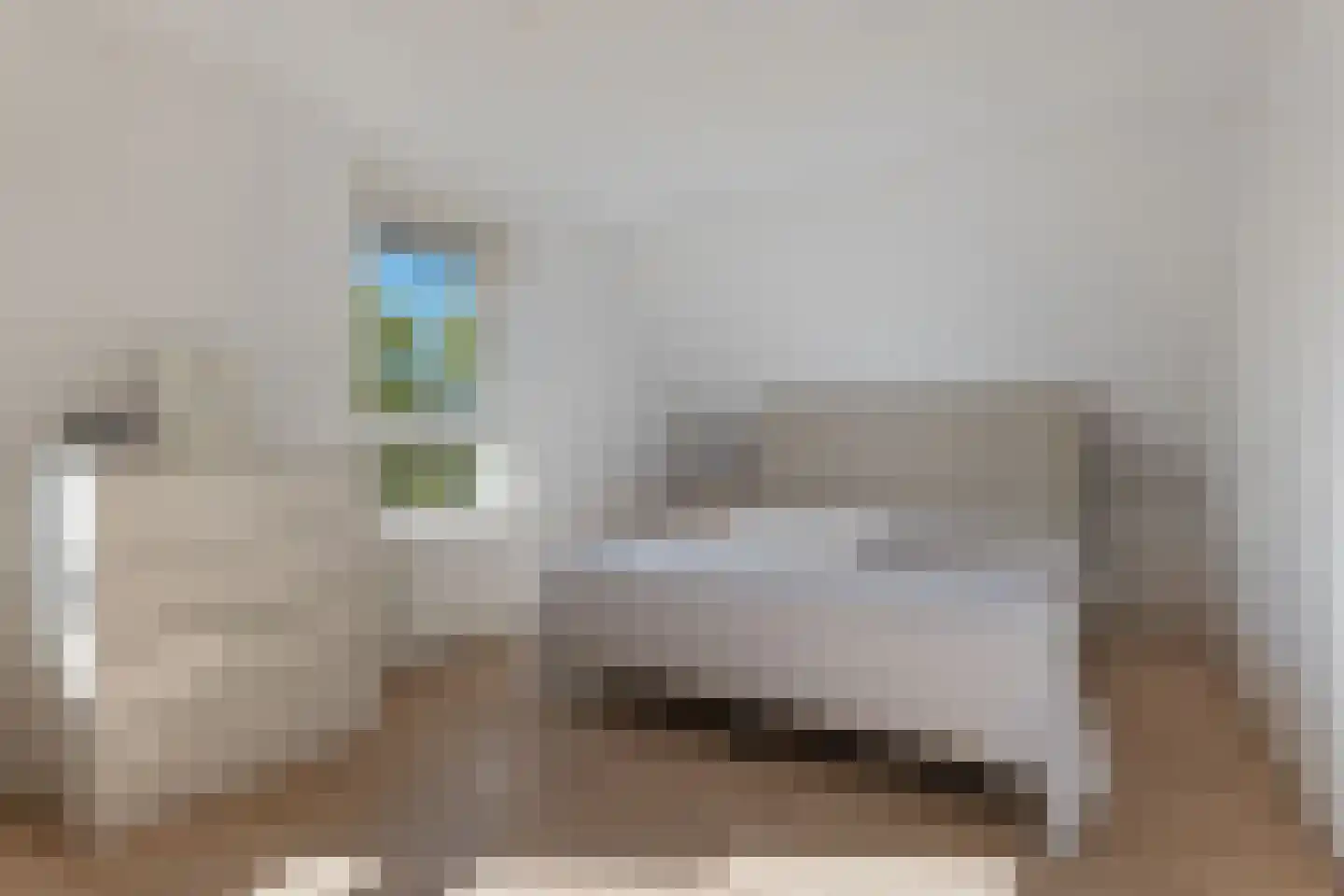 Otto Eerelmanhof 6 Veendam thumbnail 29