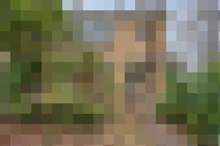 Otto Eerelmanweg 25 Eelde thumbnail 10