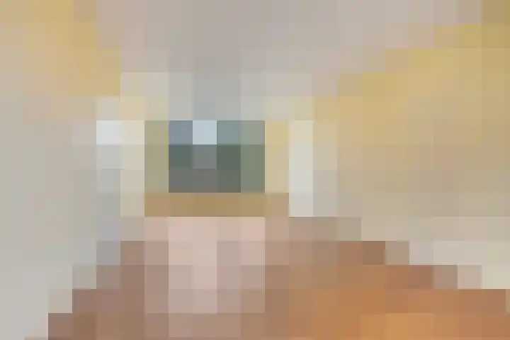 Otto Eerelmanweg 25 Eelde thumbnail 17