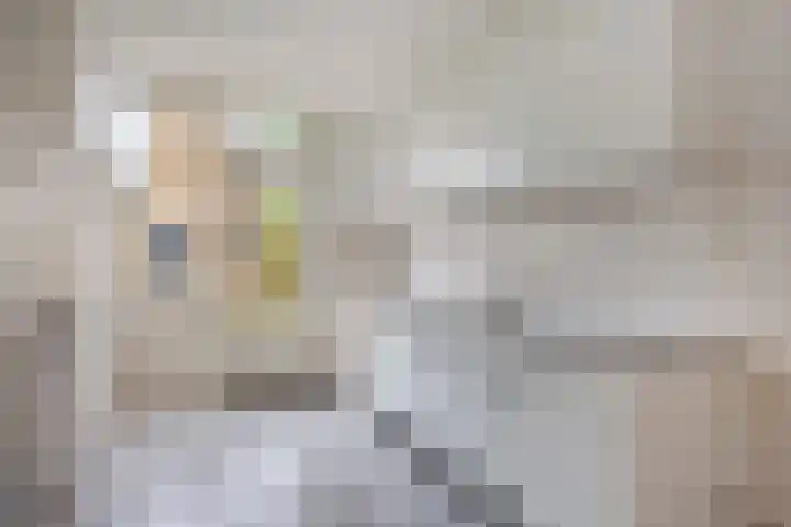 Otto Eerelmanweg 25 Eelde thumbnail 18