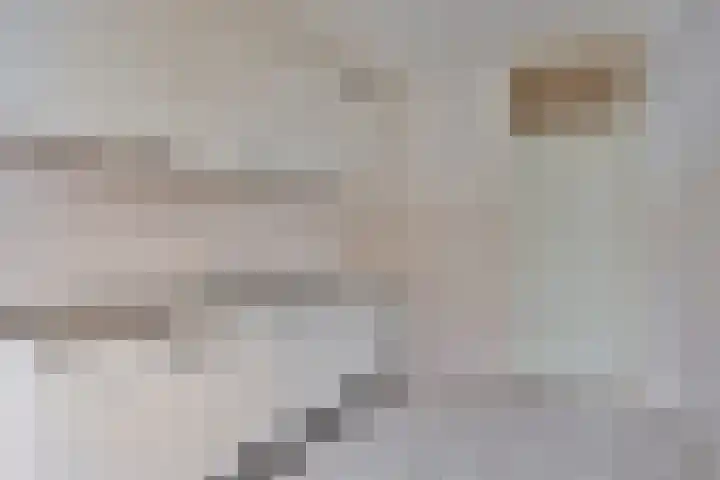 Otto Eerelmanweg 25 Eelde thumbnail 20