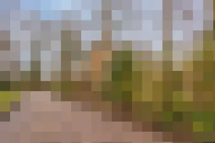Otto Eerelmanweg 25 Eelde thumbnail 37