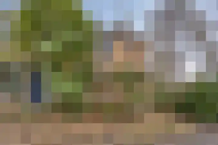 Otto Eerelmanweg 25 Eelde thumbnail 9