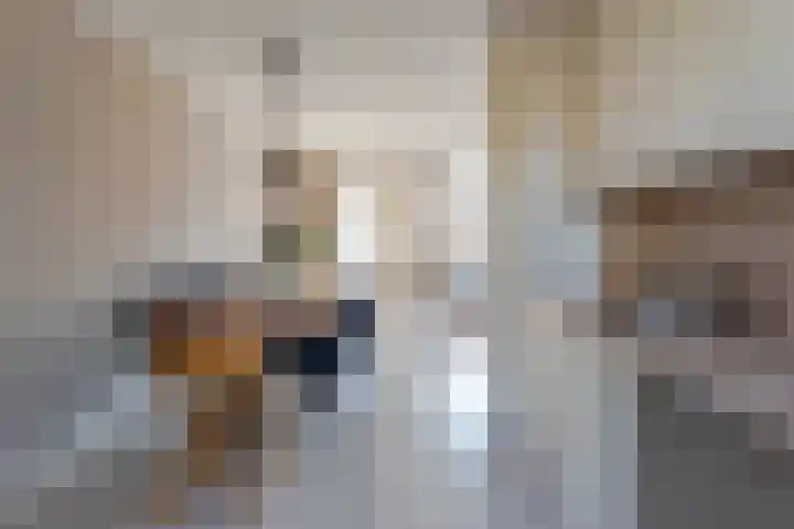 Otto-erf 22 Waddinxveen thumbnail 13