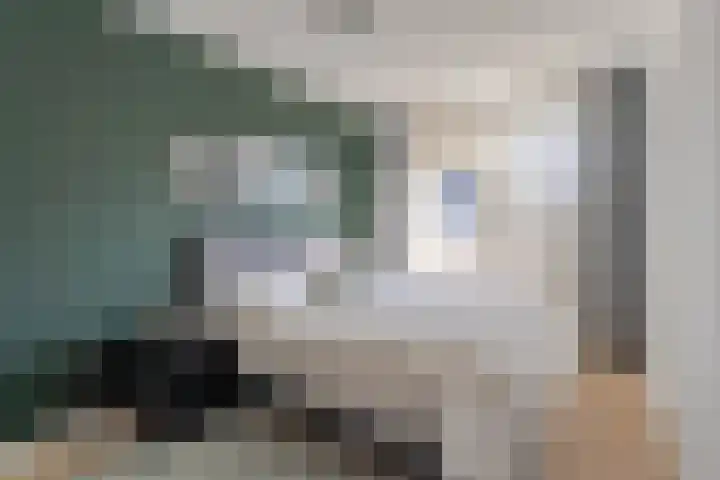 Otto-erf 22 Waddinxveen thumbnail 15