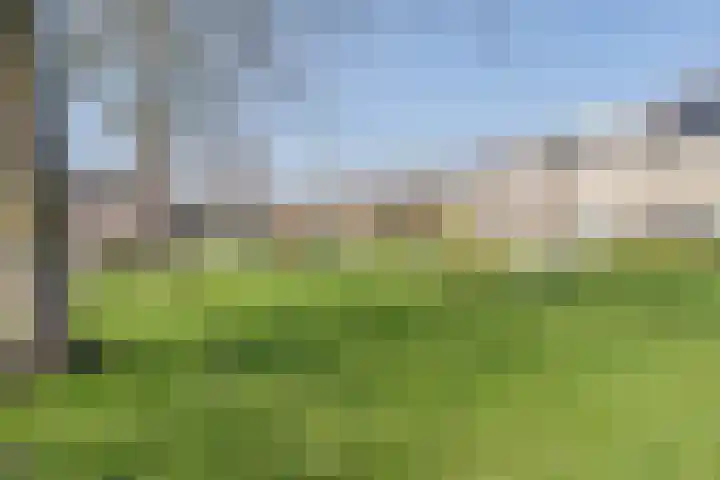 Otto-erf 22 Waddinxveen thumbnail 29