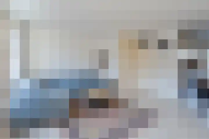 Otto-erf 22 Waddinxveen thumbnail 8