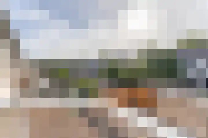 Otto-erf 24 Waddinxveen thumbnail 18