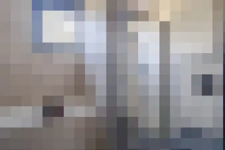 Otto-erf 24 Waddinxveen thumbnail 22
