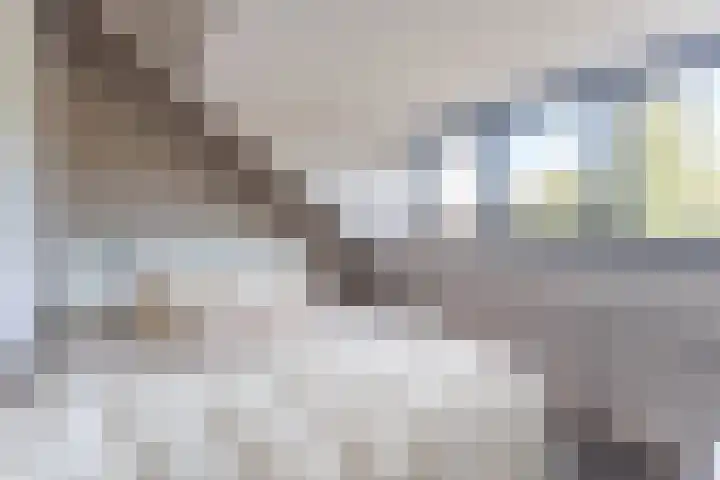 Otto-erf 24 Waddinxveen thumbnail 24