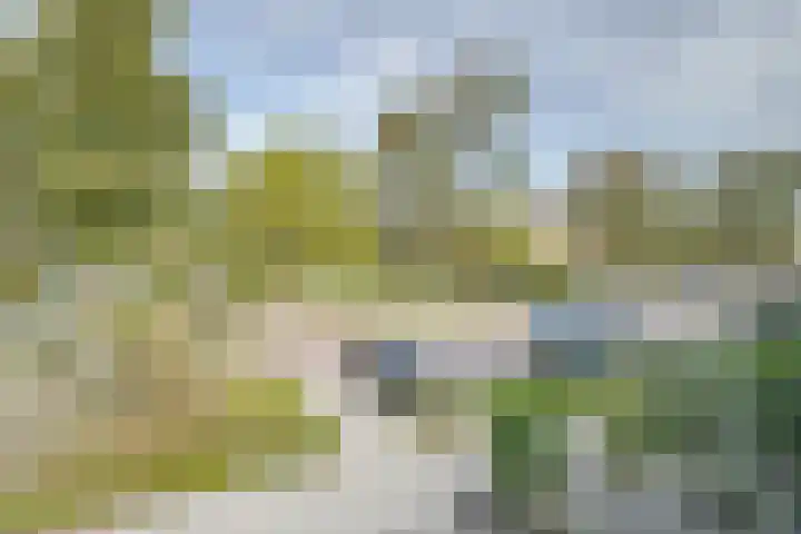 Otto-erf 24 Waddinxveen thumbnail 26