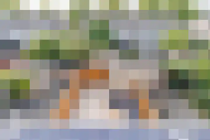 Otto-erf 24 Waddinxveen thumbnail 29