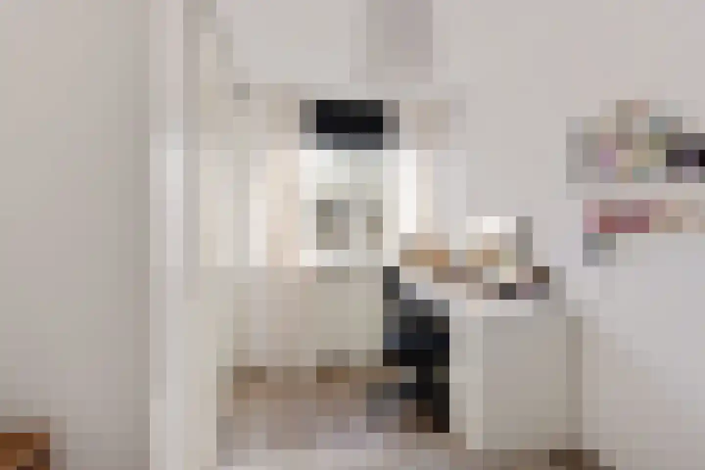 Otto Klempererstraat 102 Hengelo thumbnail 18