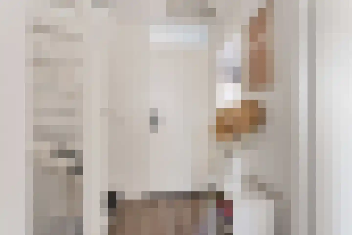 Otto Klempererstraat 102 Hengelo thumbnail 23