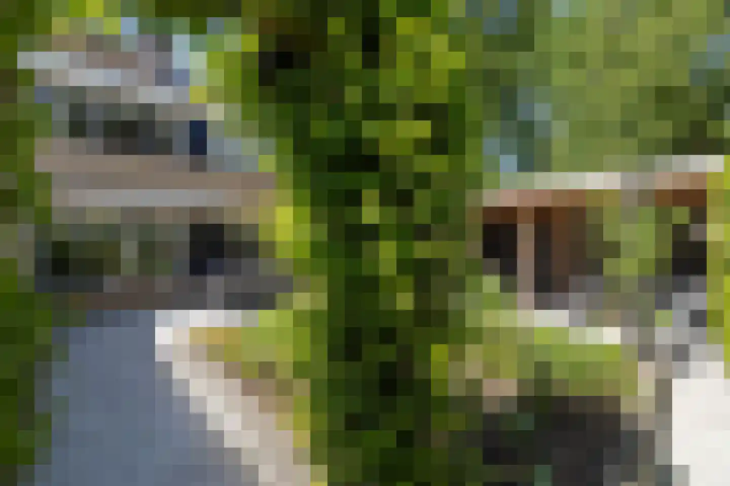 Otto Klempererstraat 125 Hengelo thumbnail 23