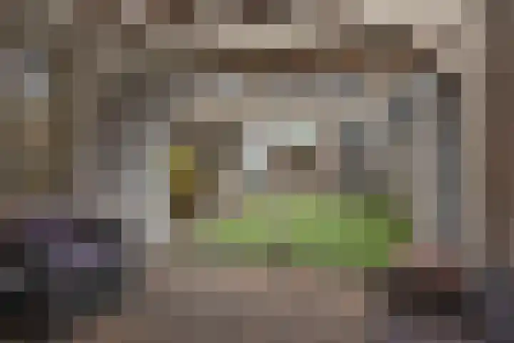 Otto Klempererstraat 64 Hengelo thumbnail 25