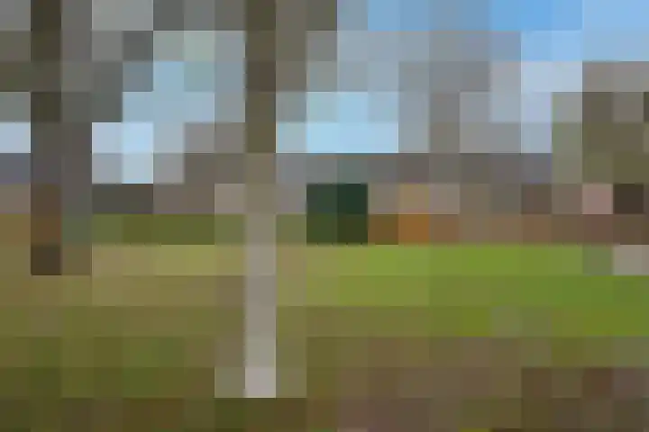 Otto Klempererstraat 64 Hengelo thumbnail 29