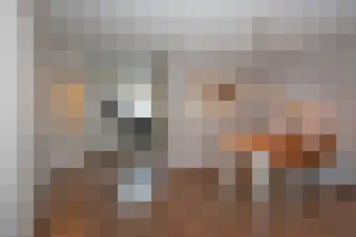 Otto Klempererstraat 64 Hengelo thumbnail 9