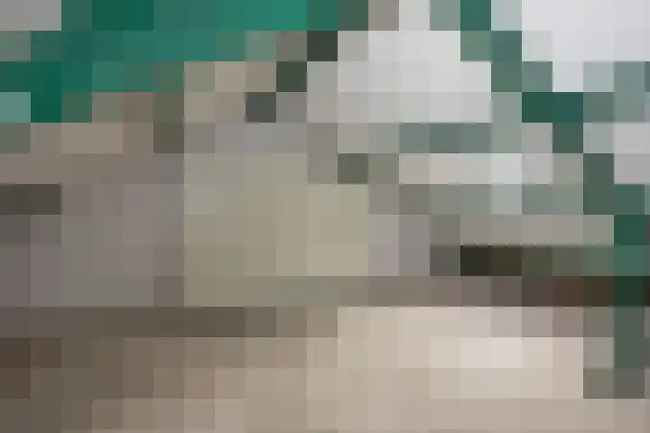 Otto Klempererstraat 71 Hengelo thumbnail 16