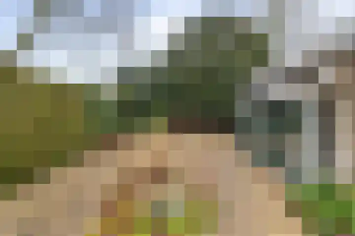 Otto'slaan 10 Hilversum thumbnail 25