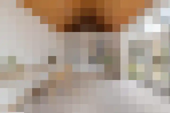 Otto'slaan 10 Hilversum thumbnail 27