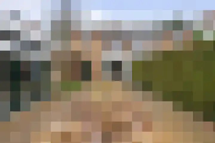 Otto'slaan 10 Hilversum thumbnail 29