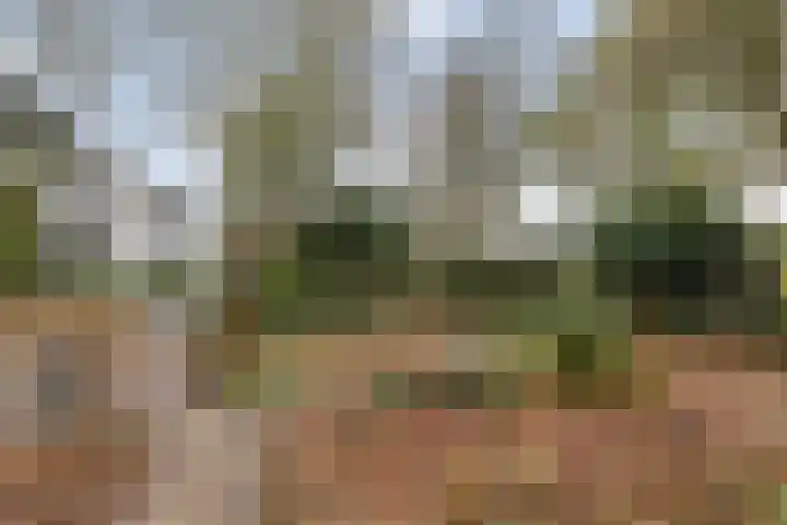 Otto'slaan 10 Hilversum thumbnail 30
