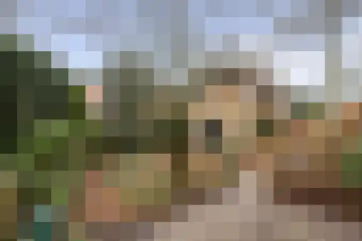 Otto'slaan 10 Hilversum thumbnail 31