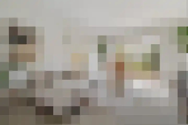Otto'slaan 10 Hilversum thumbnail 5